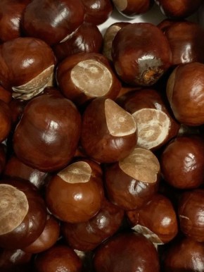 Ком в горле: как эмоции влияют на наше тело