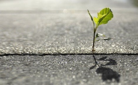 ������������� ���������: ������ ��� ����������?