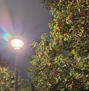 Как тревога может исказить восприятие реальности