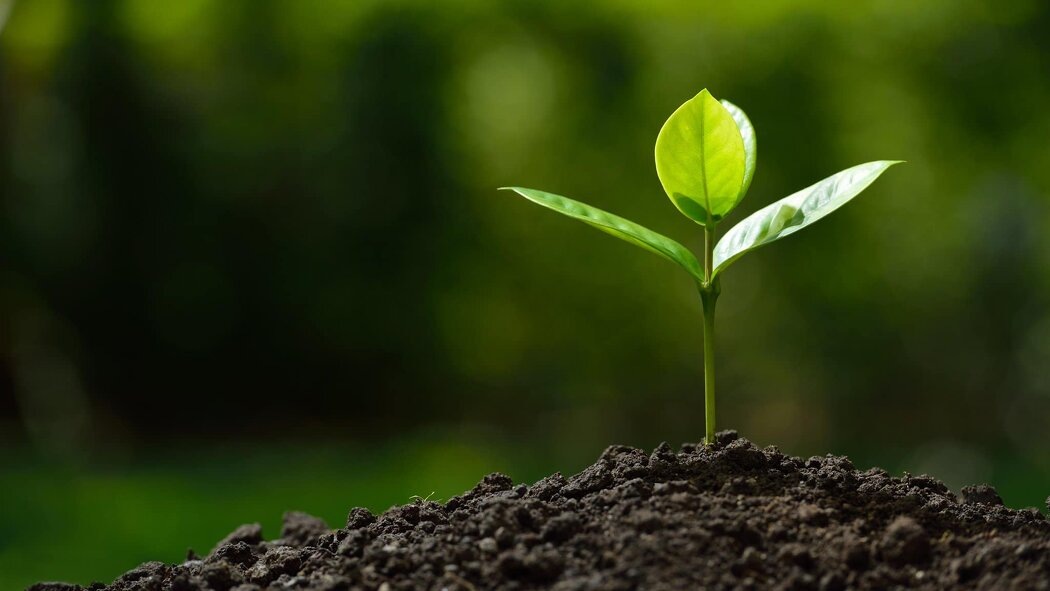 Как подростковый кризис помогает стать сильнее