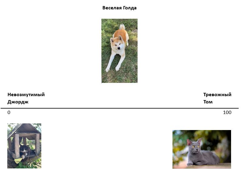 ���� � ���������: ��� ���������� ��������������� ������