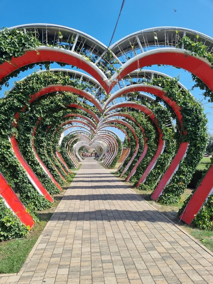 Как найти свой икагай: шаги к осмысленной жизни