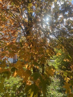 �������������: ��� ��������� ���� � �������� � �����