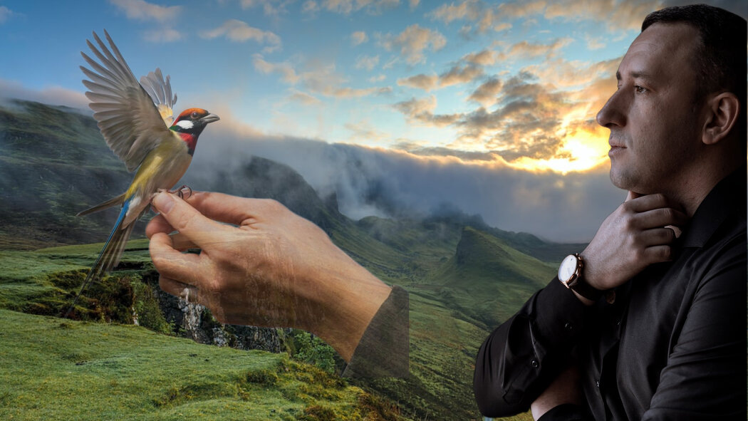 Как тревога стала учителем