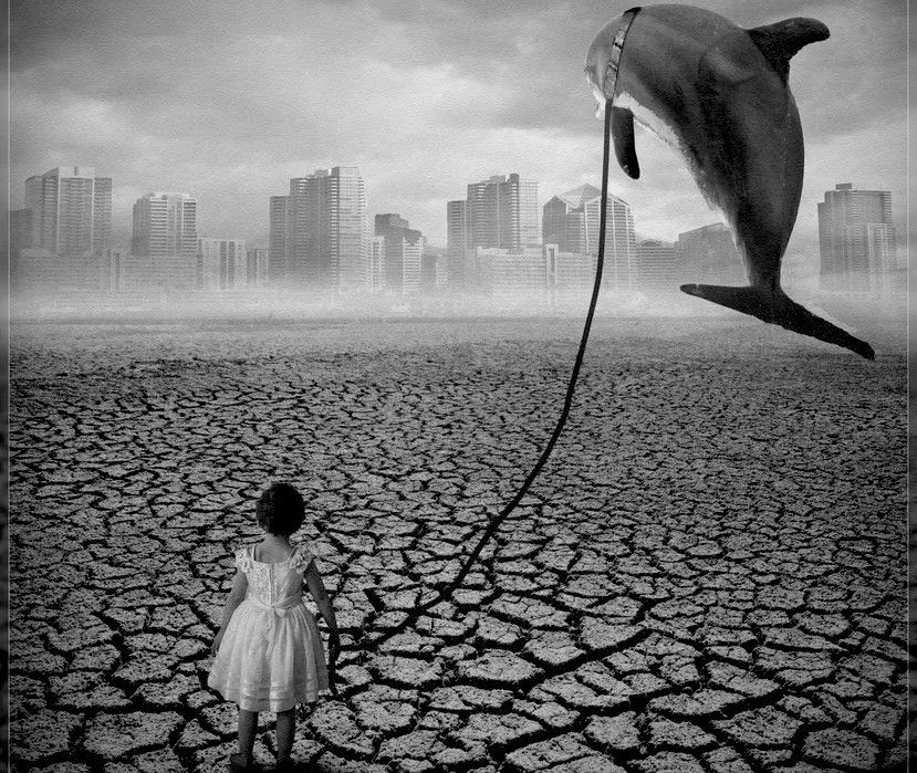 ����� ����� ���������� ���� � ����������� ���������