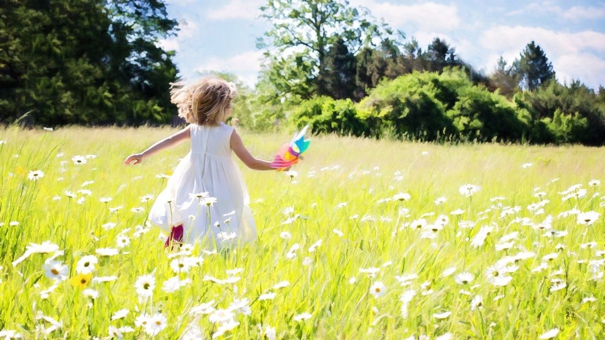 ��� ������� ����� �������� ���� �����: ����� ���������