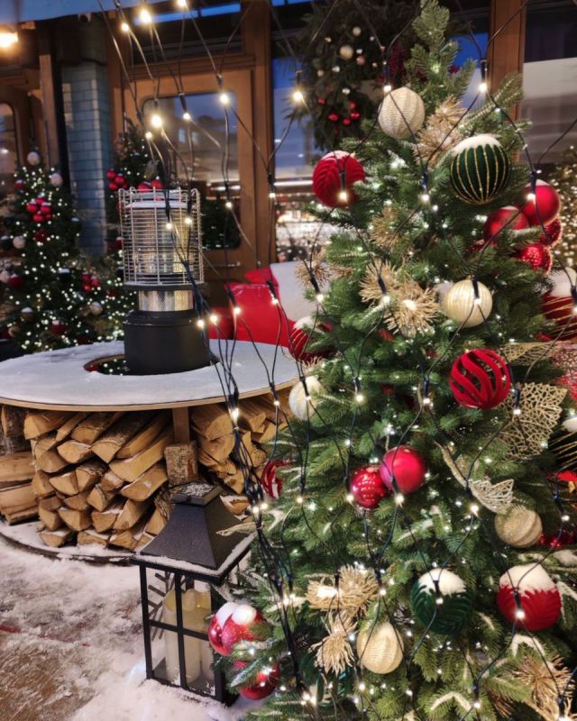 ����� ���� �� ������� � ������ ����� ���