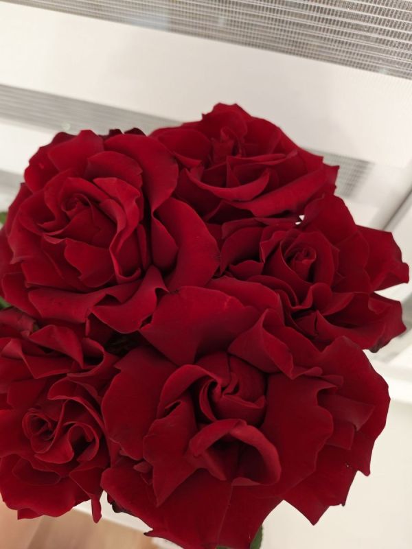 � ������� � ������ ���: �������� ��������� ����������