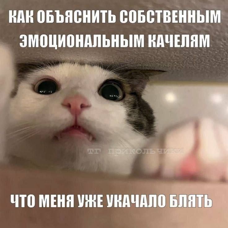 ������������� ������