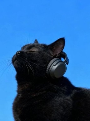 Как создать идеальный сенсорный профиль для нейроразнообразия