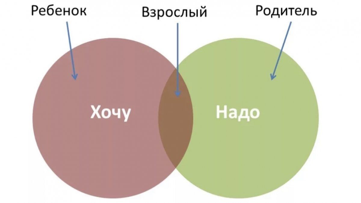 ����� ����������� ������������: ��� ��������, ������� � �������� ������ �� ���� �����