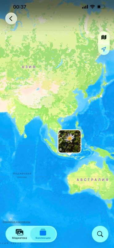 ����� �������������: �����, ������� �� ������ ������ ����