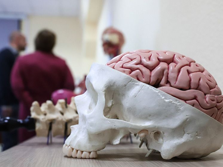 ������ ���������� ������ ������� �����, ����������� �� ����������