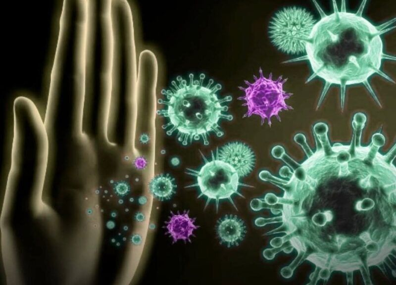 ����������� �����������: ��� �������� �������� �������� ������