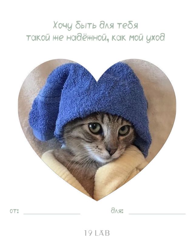 ������������ ����������: ��������� ��������� � ����� � �����-�������