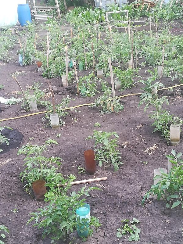 Завтра будет интересно: что ждет нас в новом анонсе