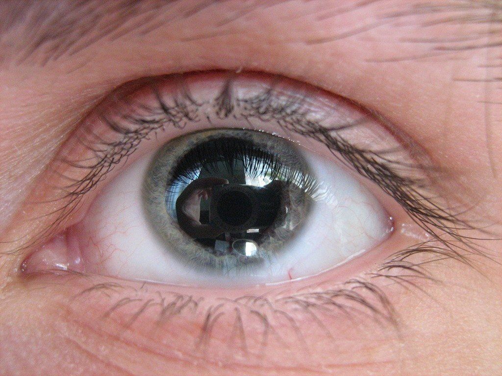 ������ �������: ��� ������� ������ �������� ����� � ��������������� �������