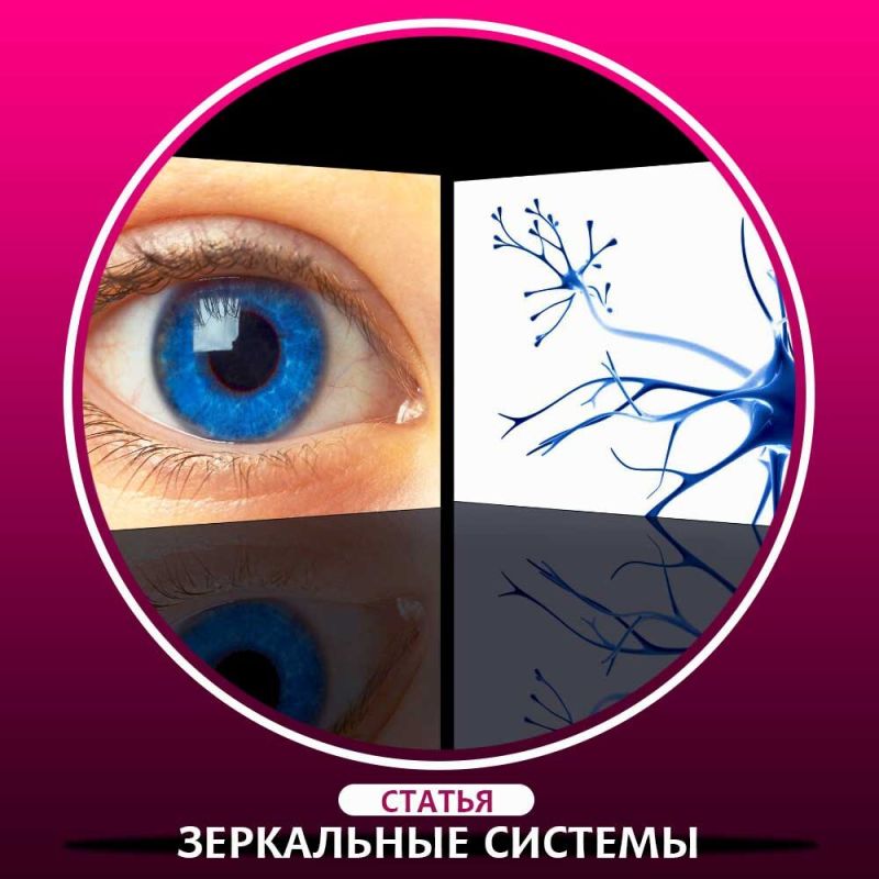 ���������� �������: ��� ��� ��������� ���� ���������� � ���������