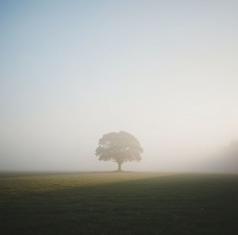 Время тишины: когда паузы становятся важнее событий