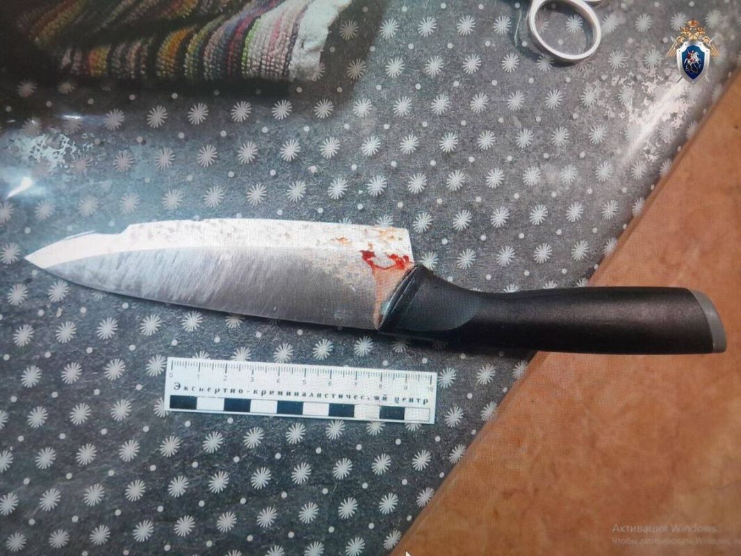 Соседские проблемы: как коммунальные квартиры становятся ареной конфликтов