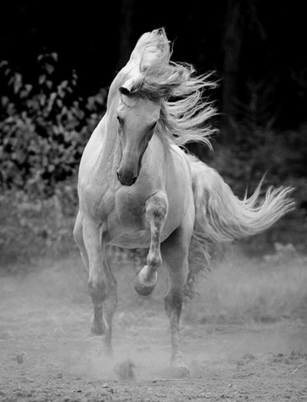 Тайна старинного поместья: история, требующая разгадки