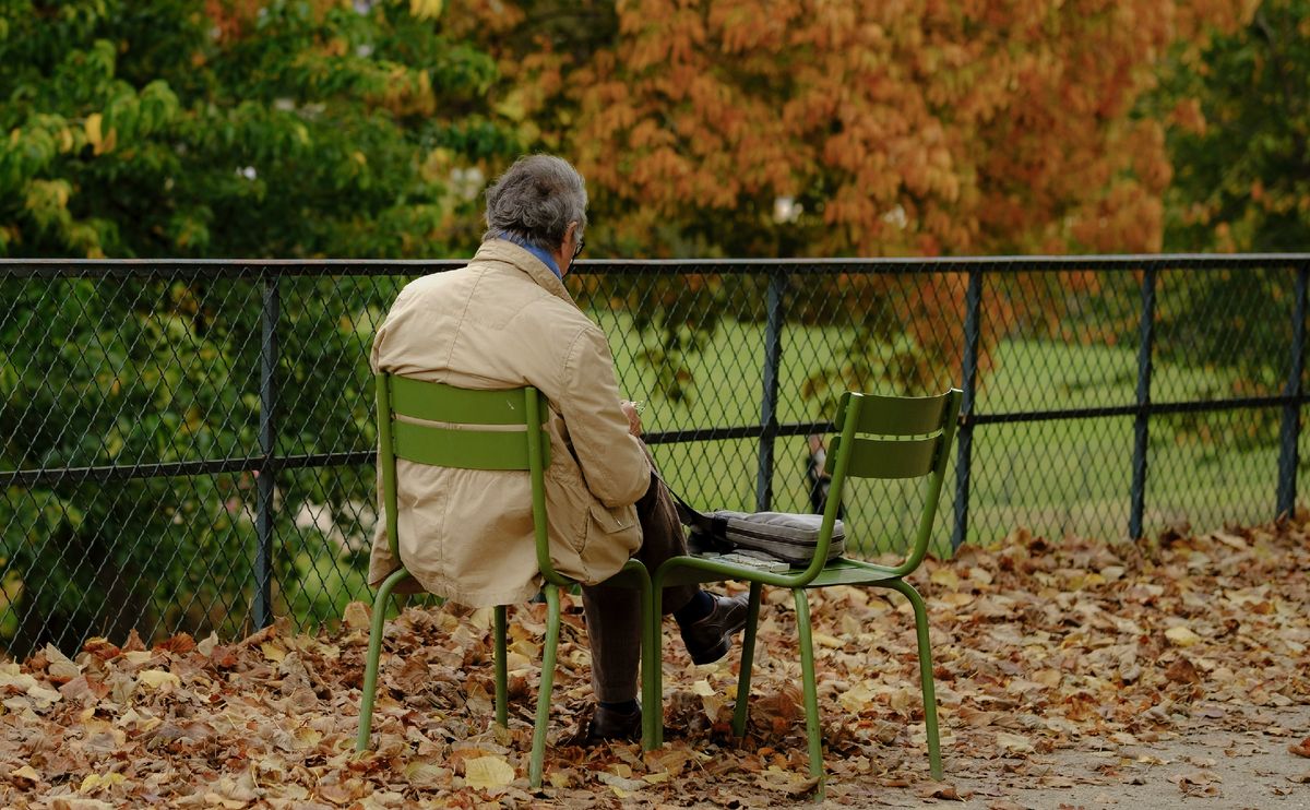 ���� � ��������: ��� ���� ����� �������� �� � ����������