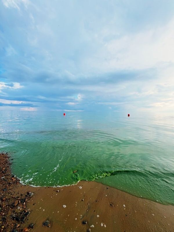 ������ ����� ��������, ��� ���������� � ������