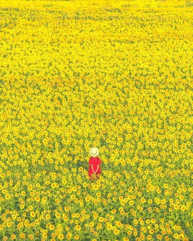 ��� ��������� ��������� �� ����