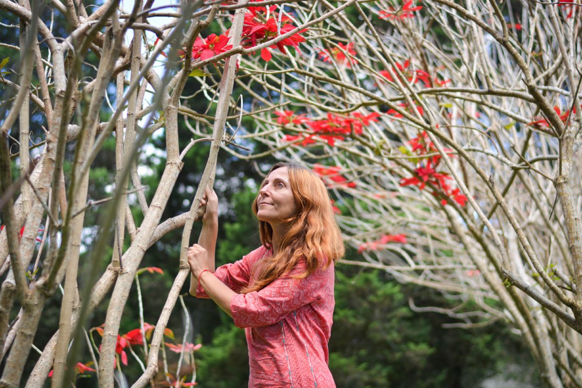 ��� ��������� ����������� ���� ���� � ����� �����