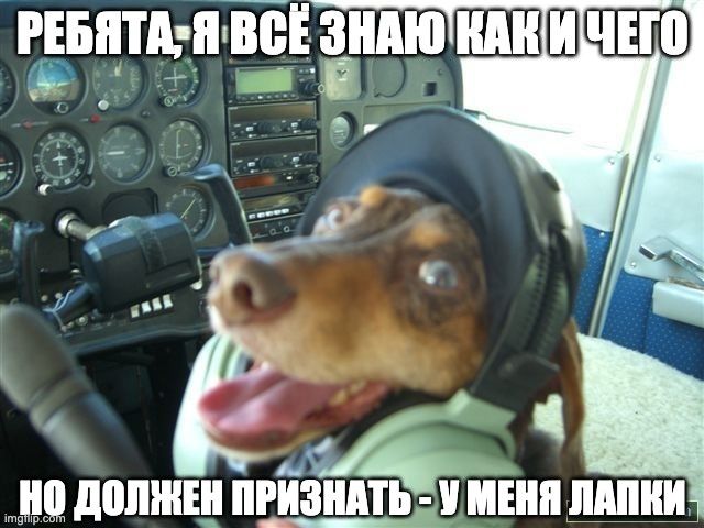 ����� ��������������: ����������� � �����