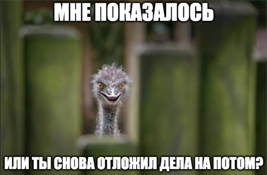 ����� ��������������. ����� ������.