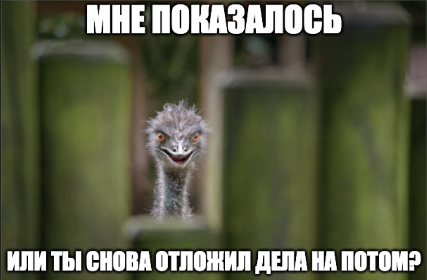 Сорта прокрастинации. Часть вторая.