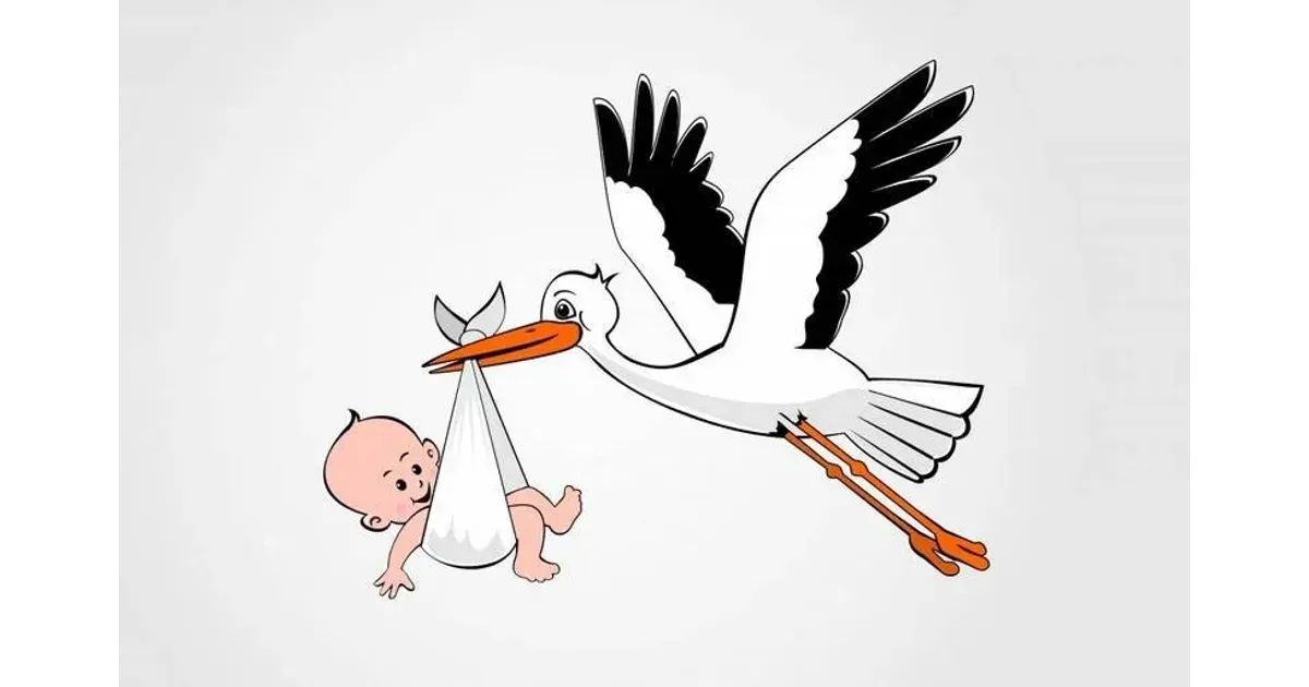 ��� ������ ������ ������������: ������� ������ �� ��������