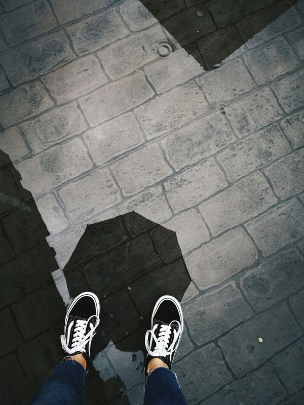 ����� ���� ��������� ���������: �������� ��������