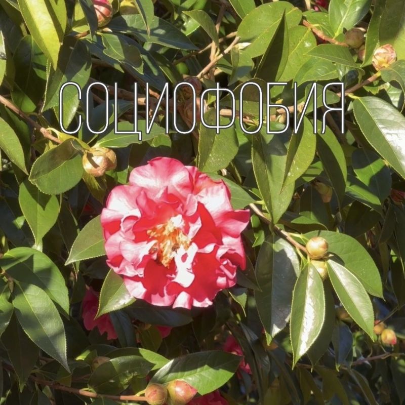 ����������: ��������� ���� ������