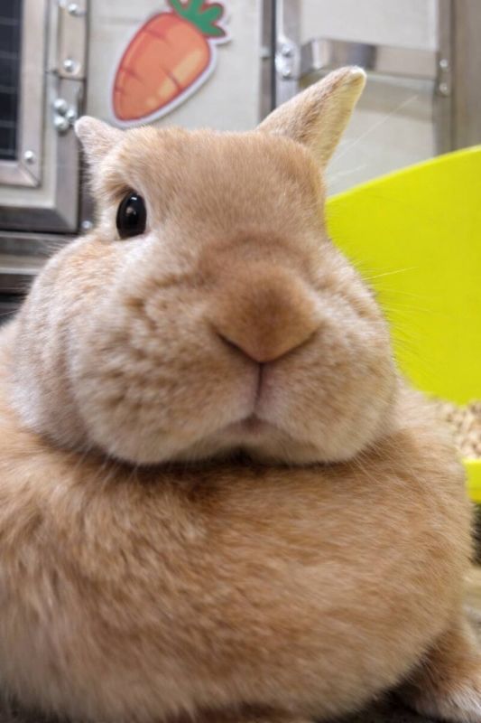 ��� ������ ���������� ������ � �����