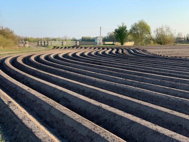 ��� ��������� ������� ��������� � ����������?