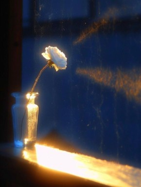 Как наше взаимодействие с миром формирует нас