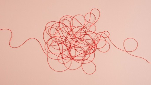 ��������: ������� ��� ����? ��������� � ��� ������� �� �������� � ����������