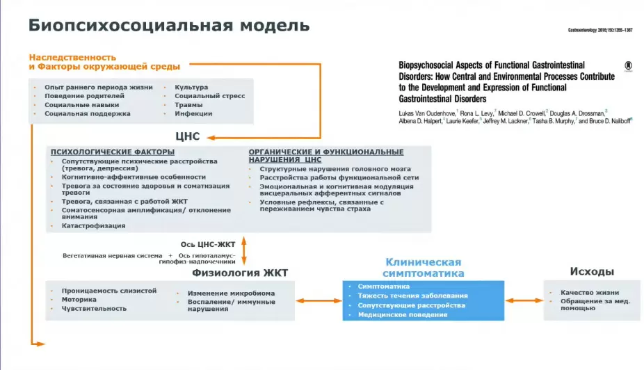 Как стресс влияет на здоровье кишечника: исследуем синдром раздраженного кишечника
