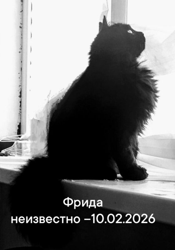 ������ ��������: ������ �������� � ���������� ����