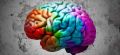������ ��� �����: ��� � ��������� BrainApps � �� ������������