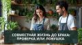Совместная жизнь до брака: испытание любви или безвыходная ситуация?