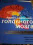 Когда муж знает, как сделать приятное