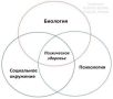 Биология и культура: как они формируют мотивацию к деньгам