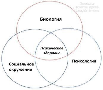 Биология и культура: как они формируют мотивацию к деньгам